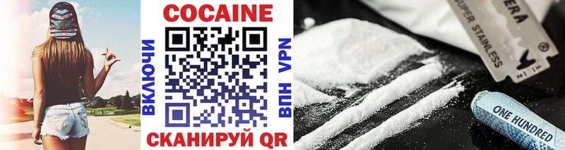Купить закладки  Новомосковск  COCAIN 99% 