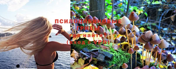 мескалин Касимов