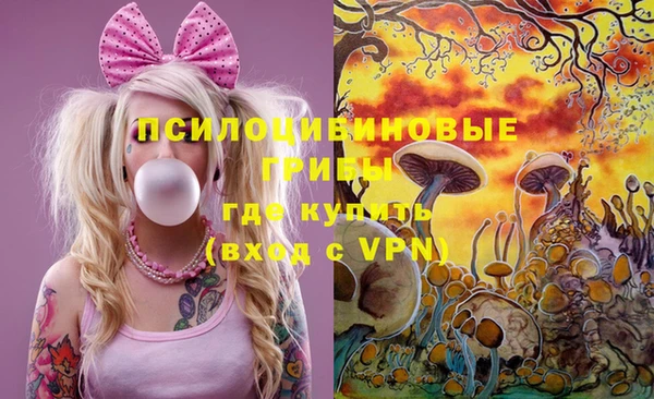мескалин Касимов