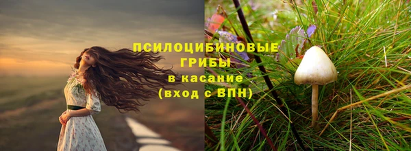 мескалин Касимов