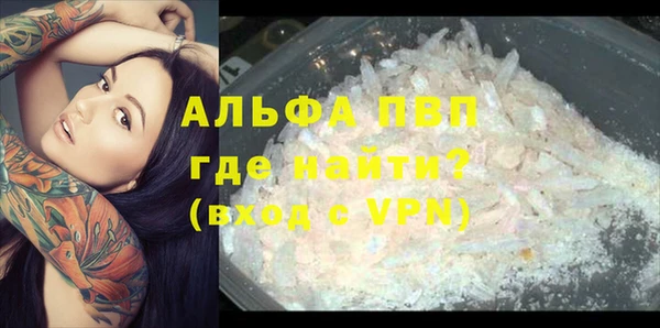 мескалин Касимов