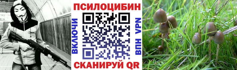 Псилоцибиновые грибы Magic Shrooms  Купить  Новомосковск 